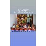 MÂM QUẢ HOÀNH TRÁNG