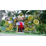 CỔNG CƯỚI RỒNG PHỤNG 