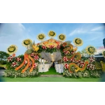 RỒNG PHỤNG MIỀN TÂY CỰC ĐẸP