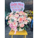 HOA CHÚC MỪNG