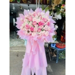 KỆ HA CHÚC MỪNG TONE HỒNG
