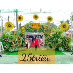 cổng rồng phụng mẫu 01