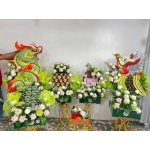 HƯƠNG SEN ĐỒNG THÁP 