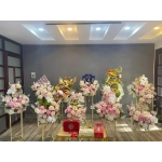 MÂM QUẢ CAO CẤP
