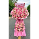HOA CHÚC MỪNG MÀU HỒNG