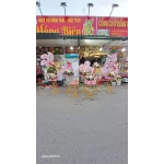 MÂM QUẢ RỒNG PHỤNG MÀU HỒNG 