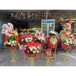 6 MÂM ĐỎ