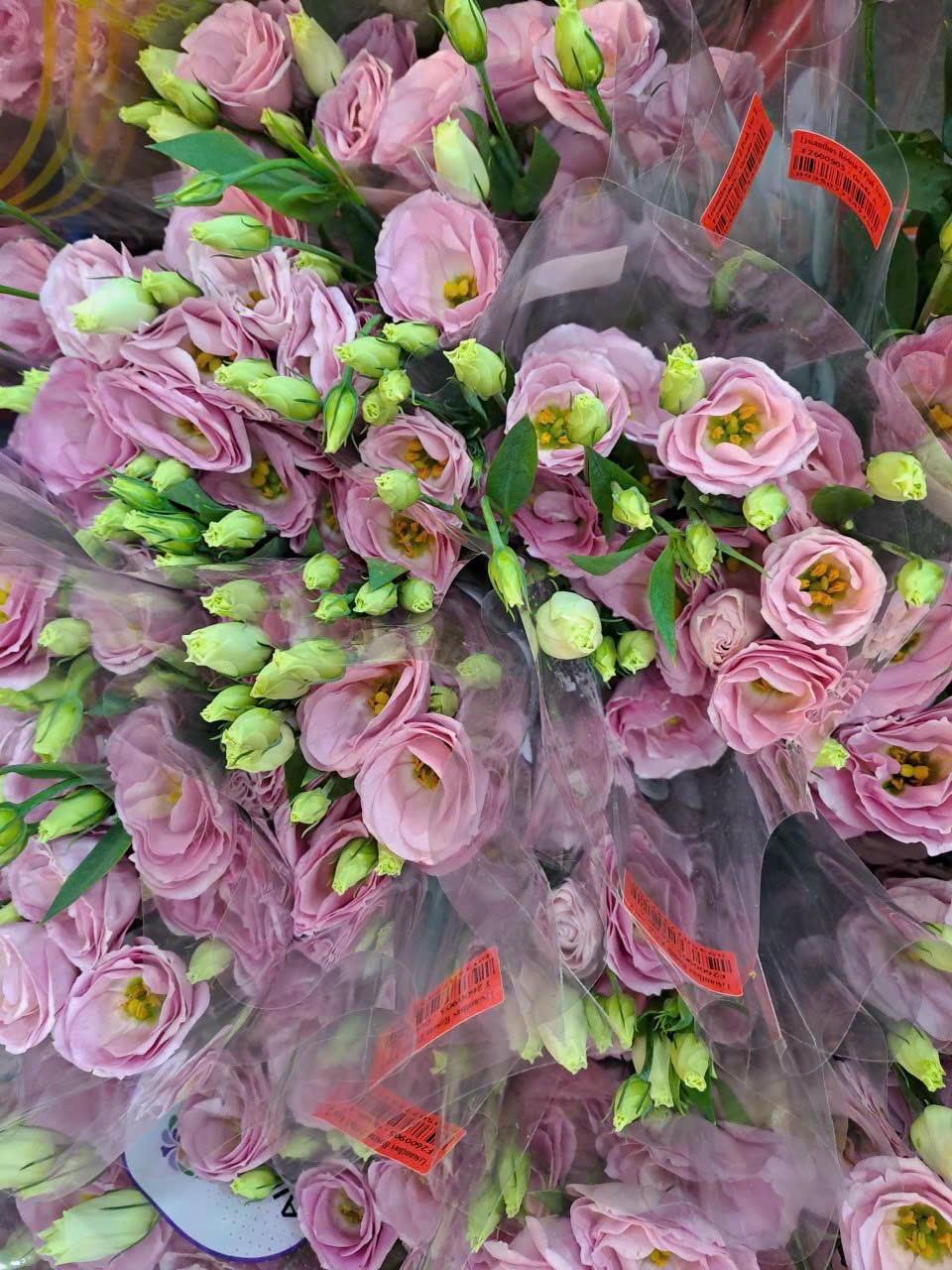 Hoa tự chọn