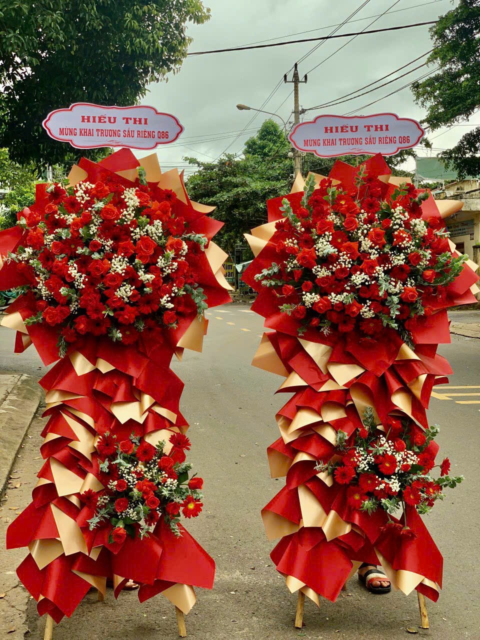 Hoa Hồng Khai Trương