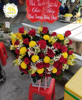 HỘP HOA