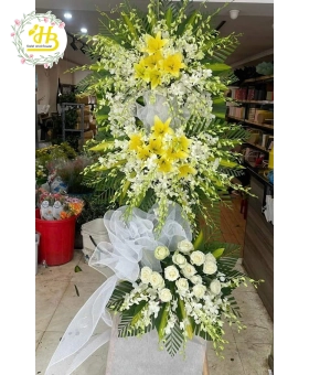HOA LAN TRẮNG + LY VÀNG