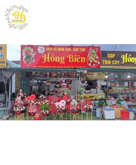 MÂM QUẢ HIỆN ĐẠI 12 QUẢ